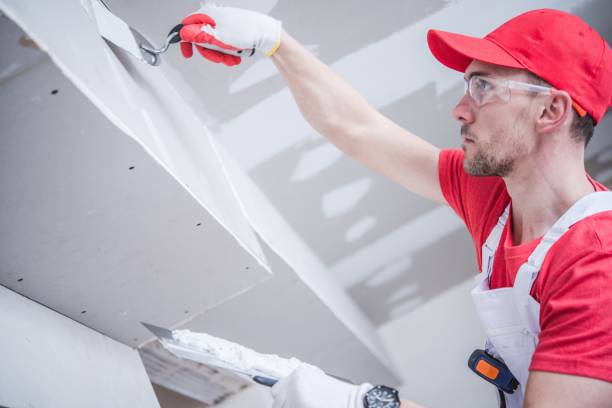 Best Mold Damage Restoration  in USA